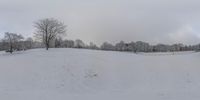 a large field covered in snow with many trees on each side of it and the sky in the background