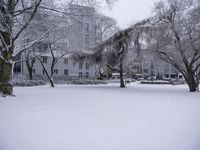 two park benches surrounded by trees during winter time with snow on them and branches in the foreground