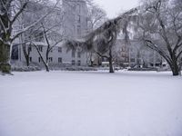 two park benches surrounded by trees during winter time with snow on them and branches in the foreground