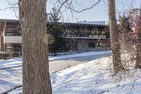 Winter Residential Building: Tree Branch Covered in Snow