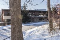 Winter Residential Building: Tree Branch Covered in Snow