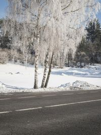 an open road surrounded by snow covered trees in the winter on a sunny day,
