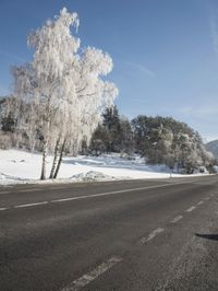 an open road surrounded by snow covered trees in the winter on a sunny day,