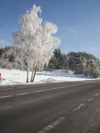 an open road surrounded by snow covered trees in the winter on a sunny day,