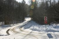 Winter Road in Canada: Clear Sky and Snowy Surroundings