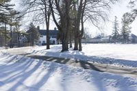 Winter Road in Ontario, Canada: Snow-Covered Trees Under Clear Skies