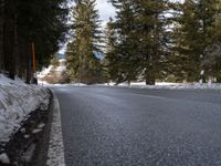 a tree lined road that is next to a road covered with snow and ice on the ground