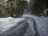 the trees are along the side of this snow - covered road as it is cleared
