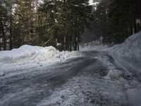 the trees are along the side of this snow - covered road as it is cleared