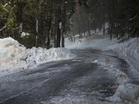 the trees are along the side of this snow - covered road as it is cleared