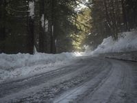 the trees are along the side of this snow - covered road as it is cleared