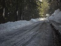 the trees are along the side of this snow - covered road as it is cleared