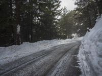 the trees are along the side of this snow - covered road as it is cleared