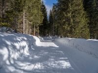 a person skiing on a snowy path in the woods, next to trees and snowbanks