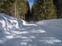 a person skiing on a snowy path in the woods, next to trees and snowbanks