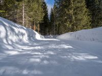 a person skiing on a snowy path in the woods, next to trees and snowbanks