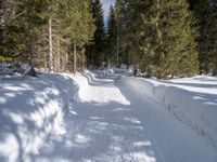 a person skiing on a snowy path in the woods, next to trees and snowbanks