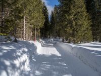 a person skiing on a snowy path in the woods, next to trees and snowbanks