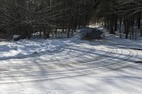 a snow covered road in winter with tracks in it and trees on the side of the road