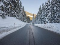 a paved street lined with snow between tall pine trees in the background of mountains and sky