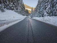 a paved street lined with snow between tall pine trees in the background of mountains and sky