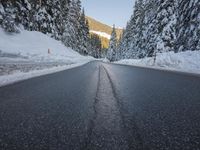 a paved street lined with snow between tall pine trees in the background of mountains and sky