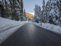 a paved street lined with snow between tall pine trees in the background of mountains and sky