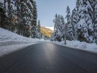 a paved street lined with snow between tall pine trees in the background of mountains and sky