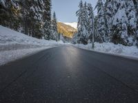 a paved street lined with snow between tall pine trees in the background of mountains and sky