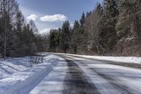 a road is lined with snow near tall trees and snow on the ground and trees are all around