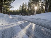 a road is covered in snow near a pine tree filled hill with trees and some snow