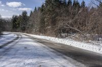 a snow covered road next to a row of trees and the side of the road is empty