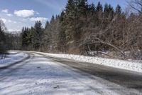 a snow covered road next to a row of trees and the side of the road is empty