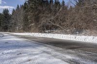 a snow covered road next to a row of trees and the side of the road is empty