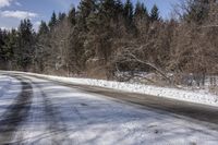 a snow covered road next to a row of trees and the side of the road is empty