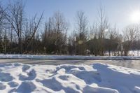 a road is covered in white snow in the middle of a wooded area with tall trees