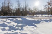 a road is covered in white snow in the middle of a wooded area with tall trees