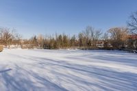 a snowy pasture with a small fence and trees in the background and some shadows on it