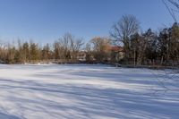 a snowy pasture with a small fence and trees in the background and some shadows on it