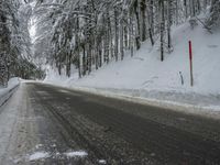 Winter Road Through Forest and Mountains
