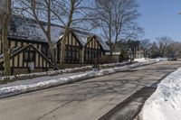 a road with several houses and no vehicles in the middle of it with some snow on the ground