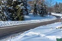 a road lined with snow next to evergreen trees on a sunny day in the winter