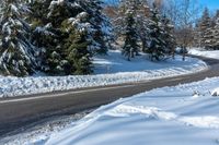 a road lined with snow next to evergreen trees on a sunny day in the winter