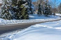 a road lined with snow next to evergreen trees on a sunny day in the winter