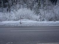 a street is blocked off by snow covered trees in front of the road and signs are displayed on poles