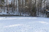 a snow covered yard next to the woods with a bench in it and a building in the background