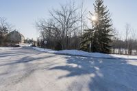 Winter Scene on a Residential Road in Ontario