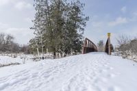 Winter Scene on a Road in Canada, Ontario