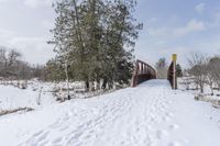 Winter Scene on a Road in Canada, Ontario