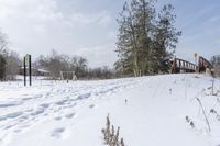 Winter Scene on a Road in Canada, Ontario